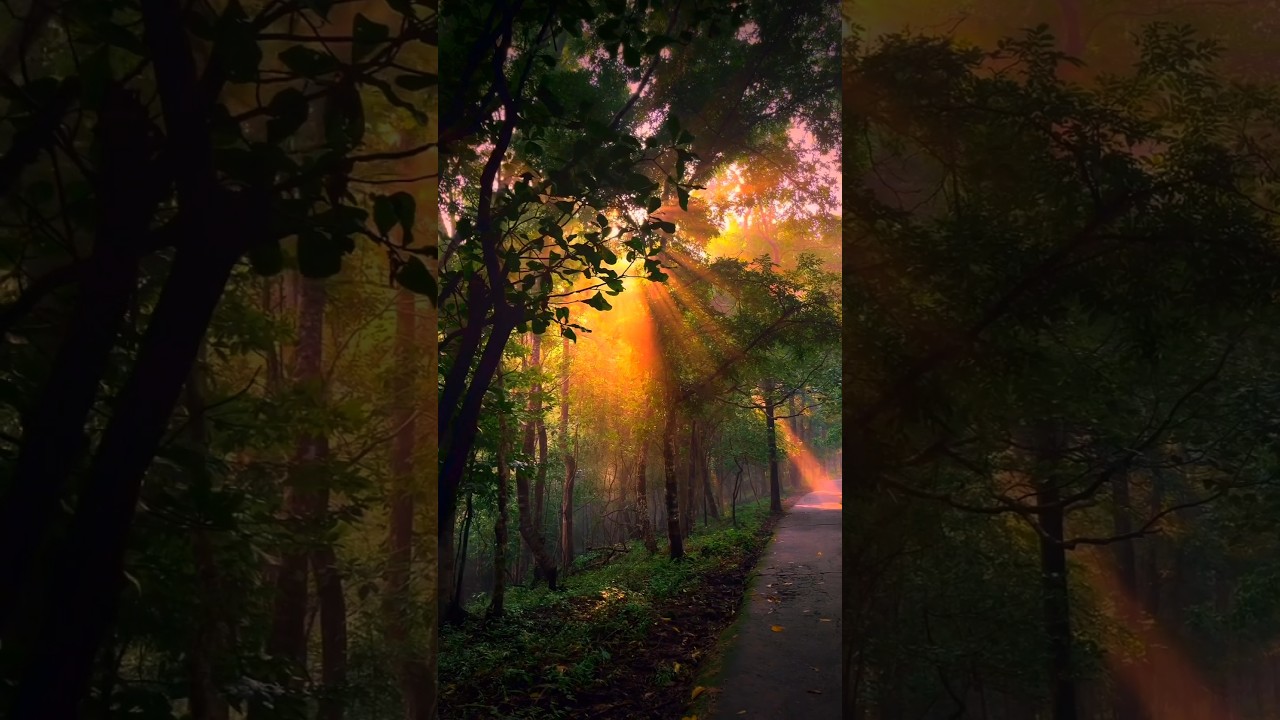 thought?? nature edit #nature #edit