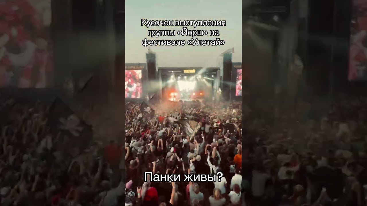 Панки то Хой или уже не Хой? йорш rock рок андеграунд концерт музыка festival