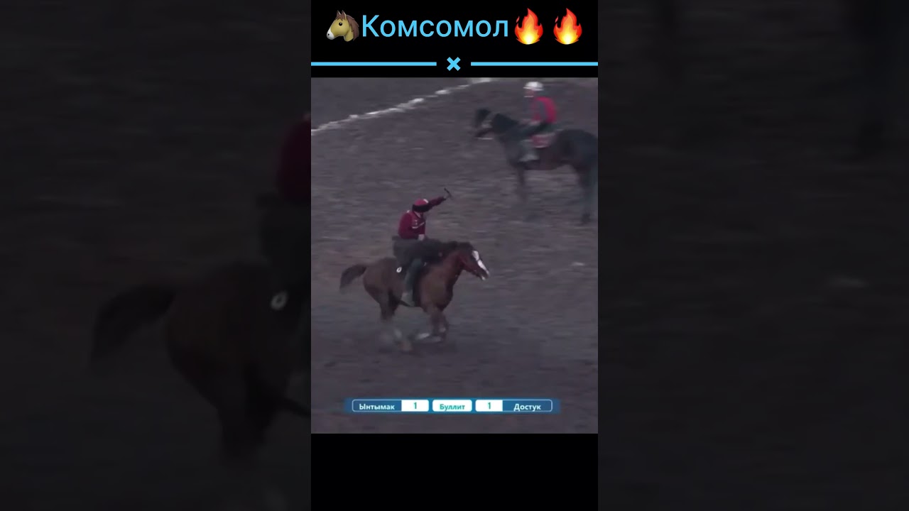 adrenaline horse Кокбору спорт