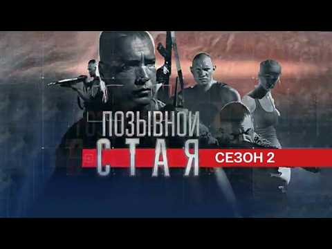Позывной Стая - 2 сезон, ВСЕ СЕРИИ ПОДРЯД