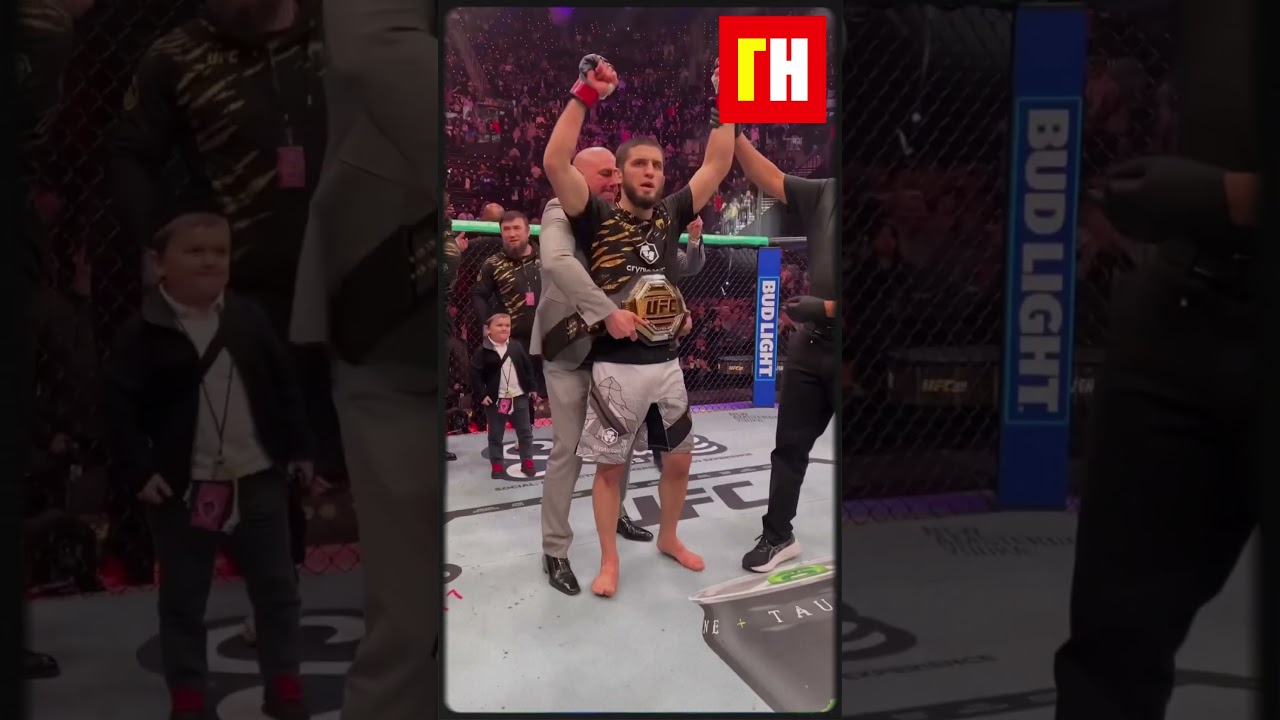 Махачев vs Маддалена — шансы 50 на 50! бокс ufc спорт