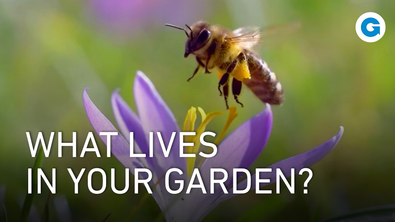 The Secret Garden: Life Beneath the Blossoms | Extra Long Nature Documentary