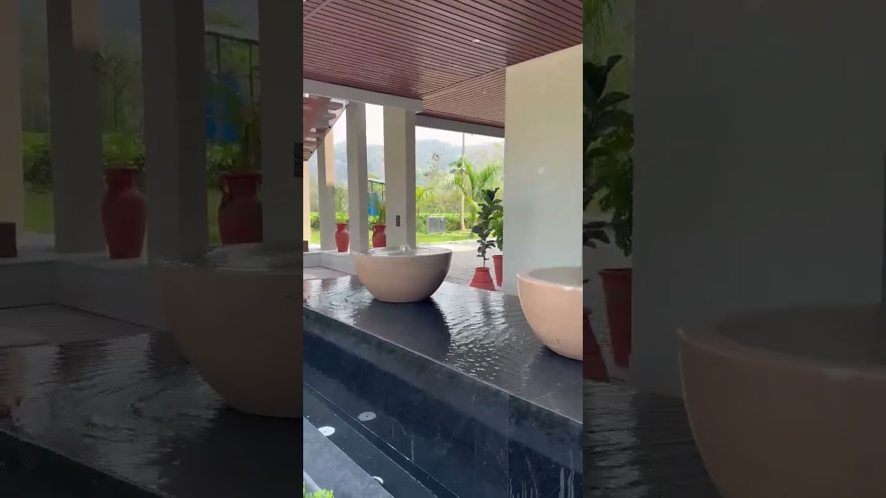 yt travel explore shorts short resort resturant beautiful relax trending love kaziranga