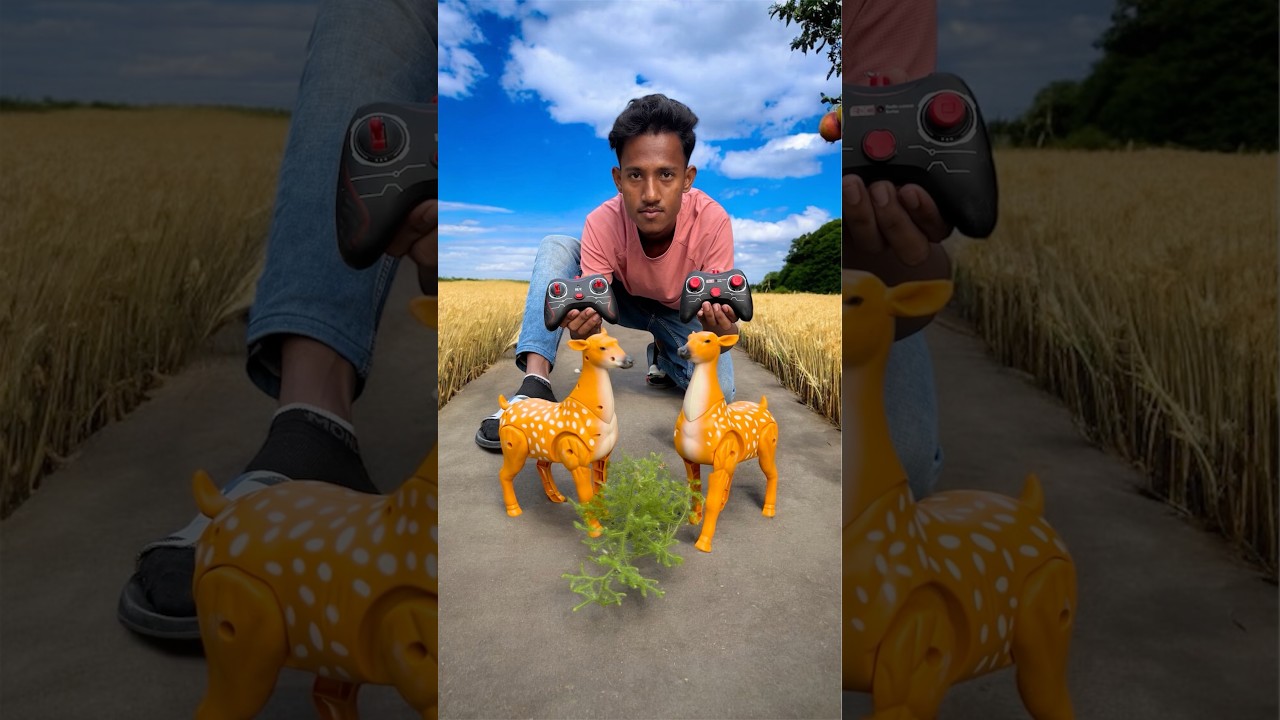 Rc 2 Ta Remote Wala Deer 🦌 Ki Unboxing 🔥