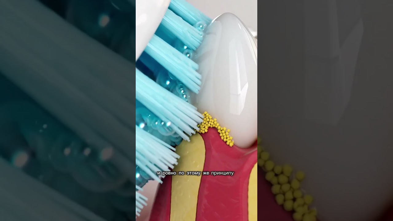 WW323357 Что общего между движением земных плит и чисткой зубов? 😱