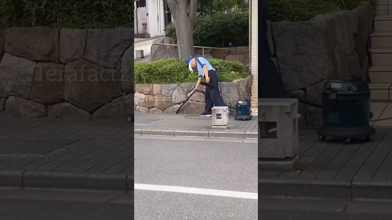 The cleanliness in Japan is unmatchable |Terafactz| #facts#hindi#nature#japan