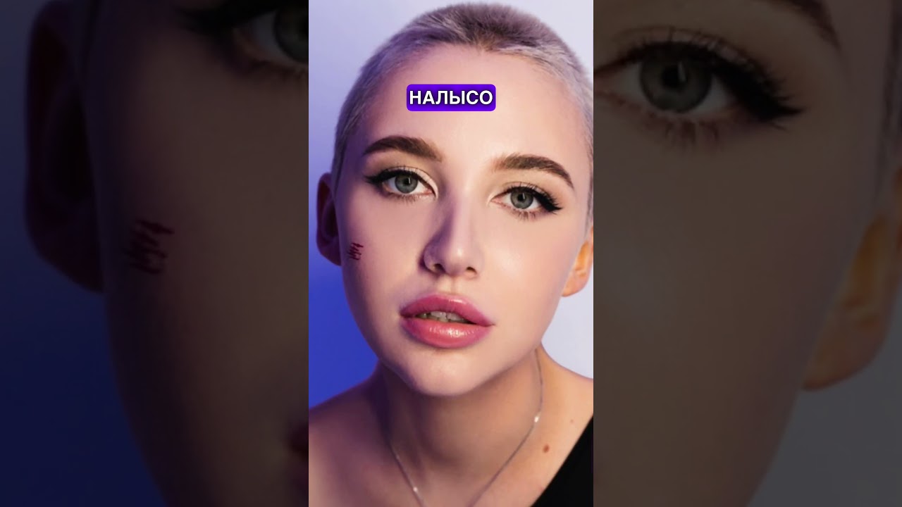 Топ-3 факта о MIA BOYKA #miaboyka #миабойка #миябойка #факты #интересныефакты #знаменитости