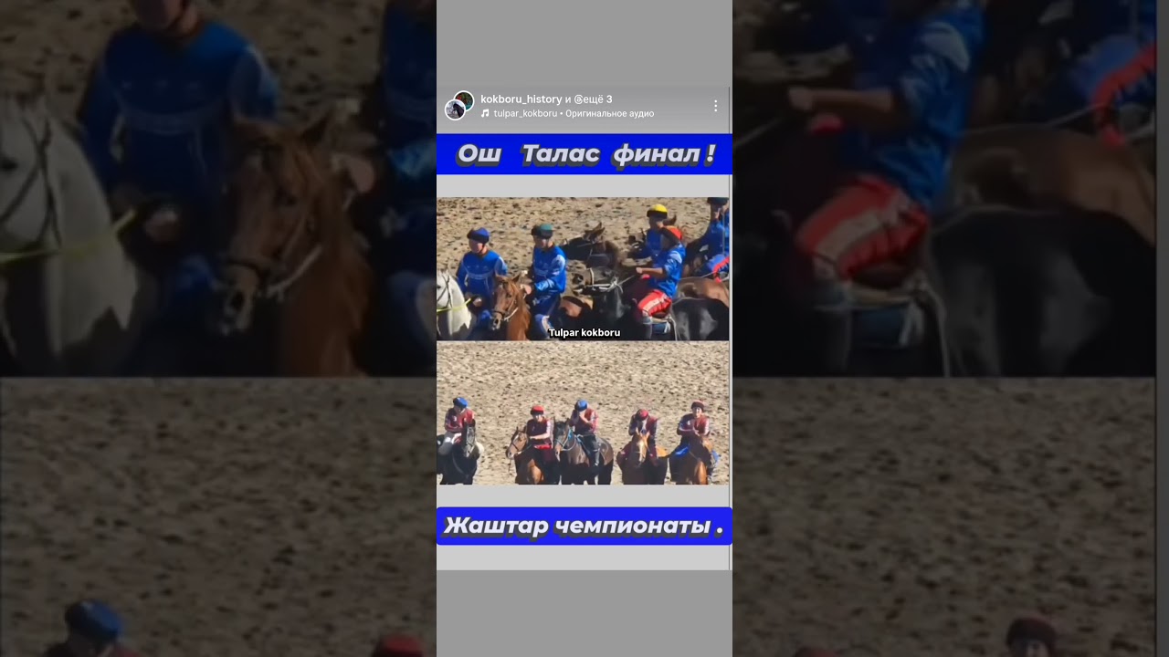Финал ! Талас 🔥Ош жаштар чемпионаты ! Видео @tulparkokboru. 2-ноябрь  2025 жыл.