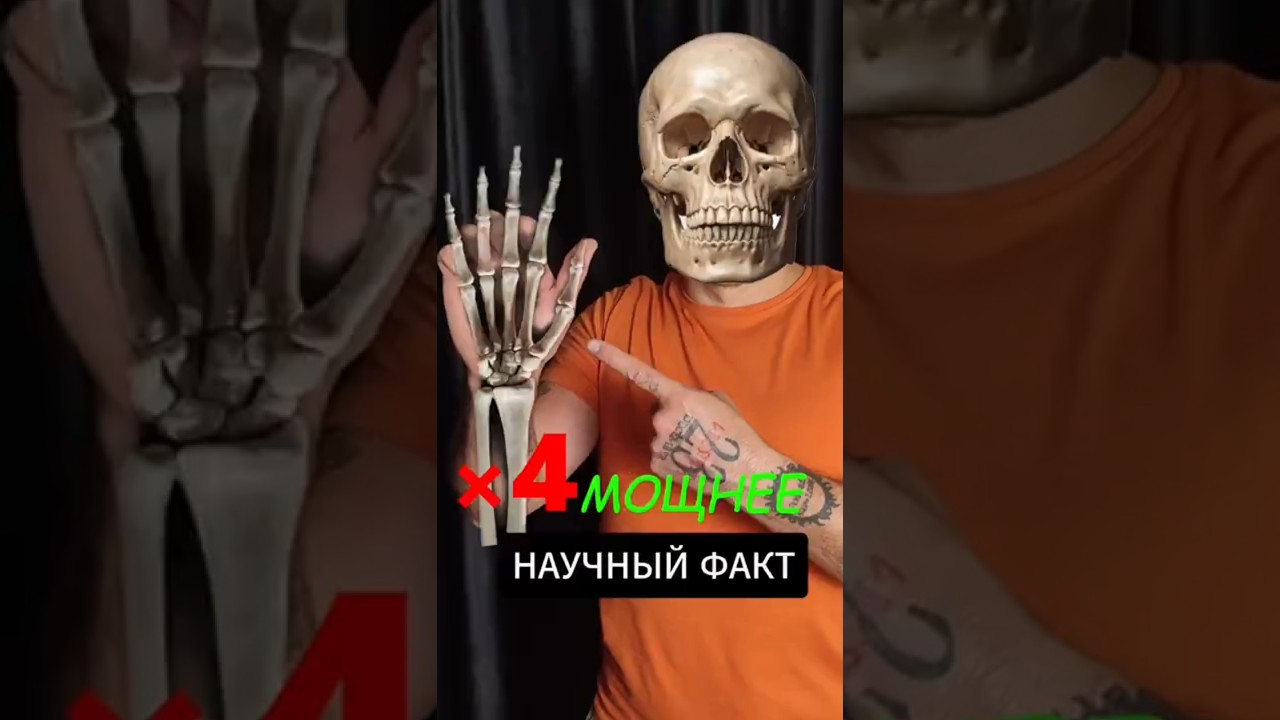 Как УСИЛИТЬ кулак в 4 раза спорт техникабокса бокс урокибокса