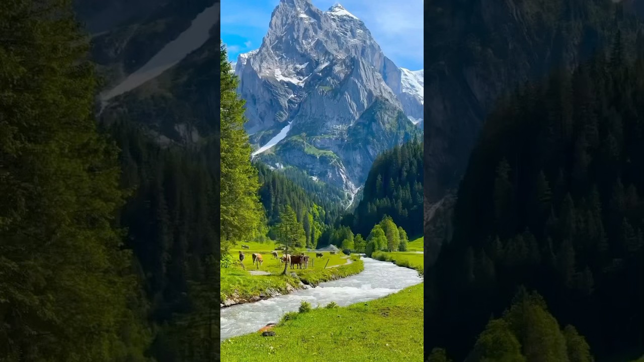 Switzerland: The Land of Pure Nature