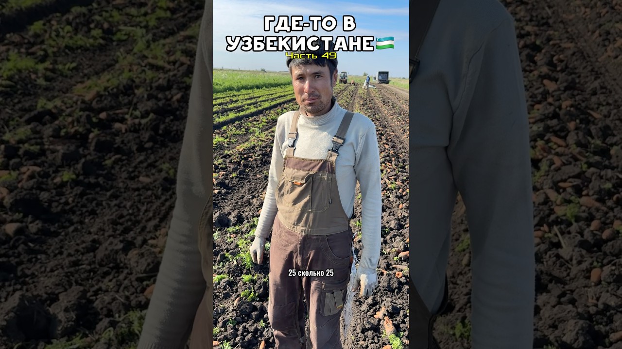 Где-то в Узбекистане. Часть 49. узбекистан