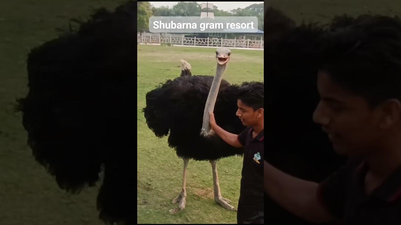 shubarnagram resort | family | tour   resort dhaka bangladesh