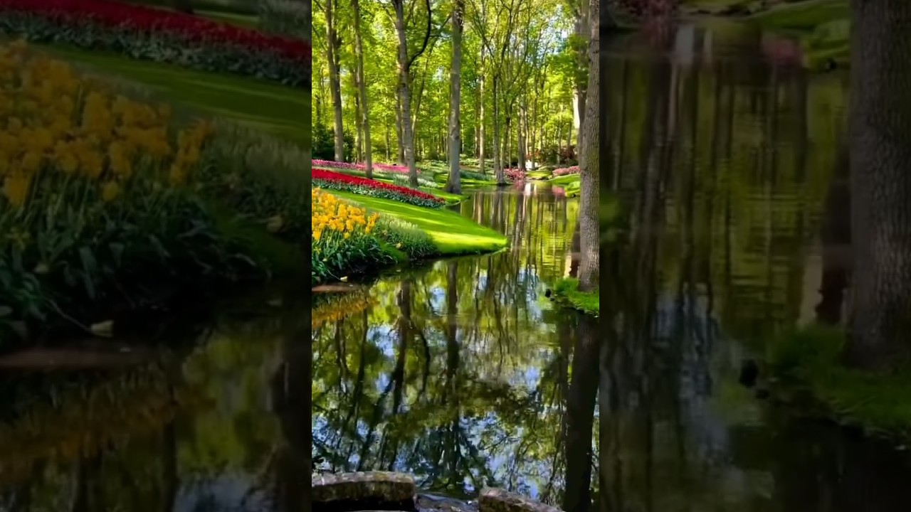 📍Beautiful places in the world🌎#travel #ytshorts #nature #natureshots #shorts #beautifulnature