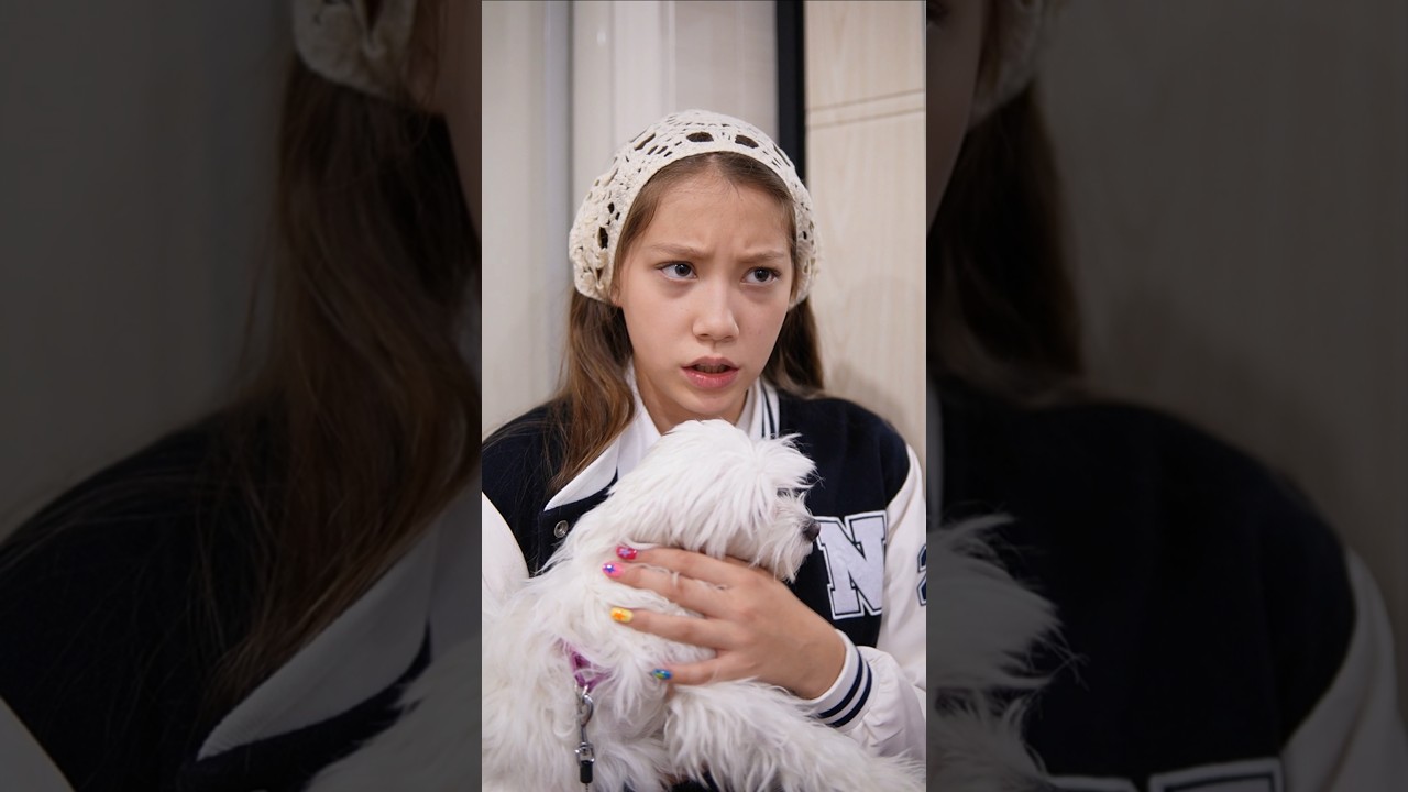 Сериал Про собаку. 2 сезон. 4 серия. vikazang vikазанг чжанвика