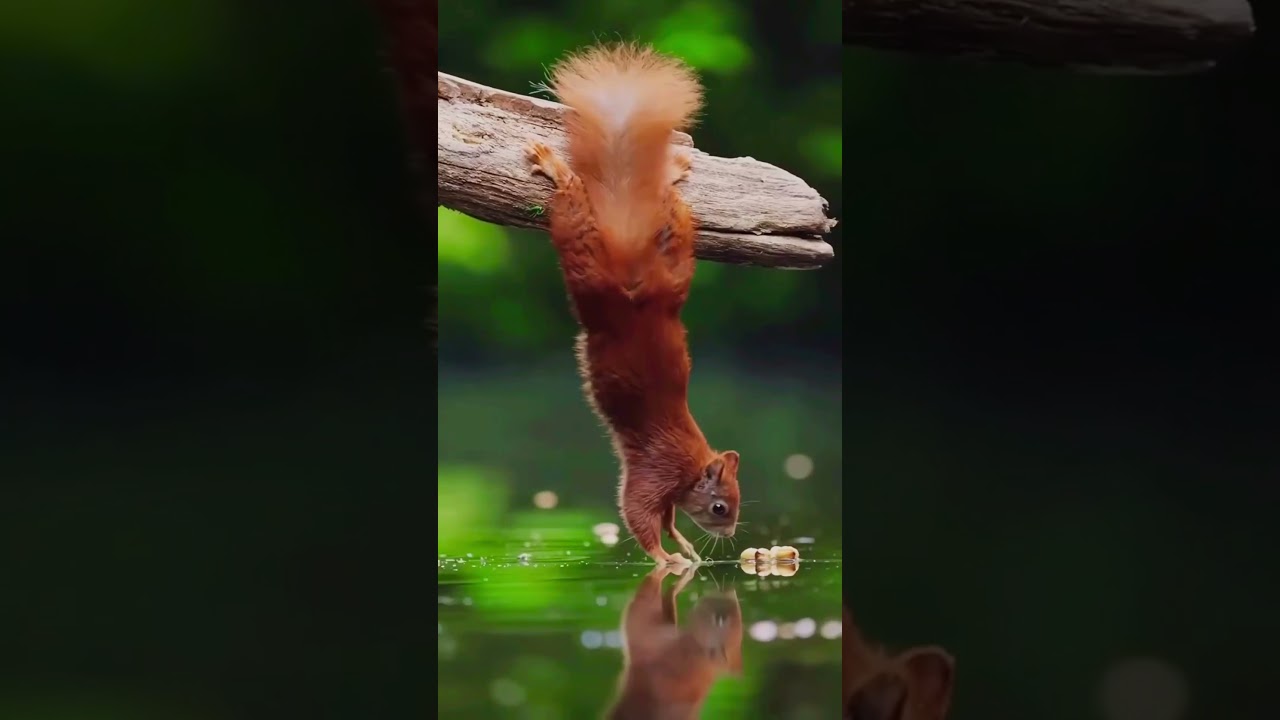 This is Your Sign to Take a Break... #hopecore #nature #edit