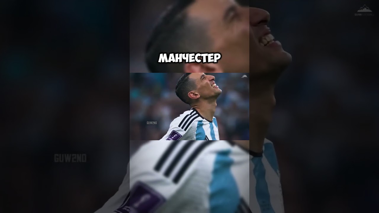 аналитика футбол ставкиналч americanfootball прогнозиставканаспорт