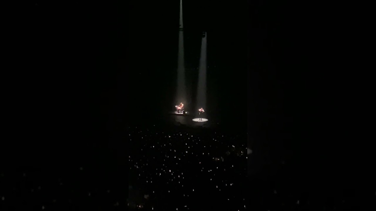 ноябрь 2025 г. Музыка 🎶 Музыка 🎶 Музыка 🎶