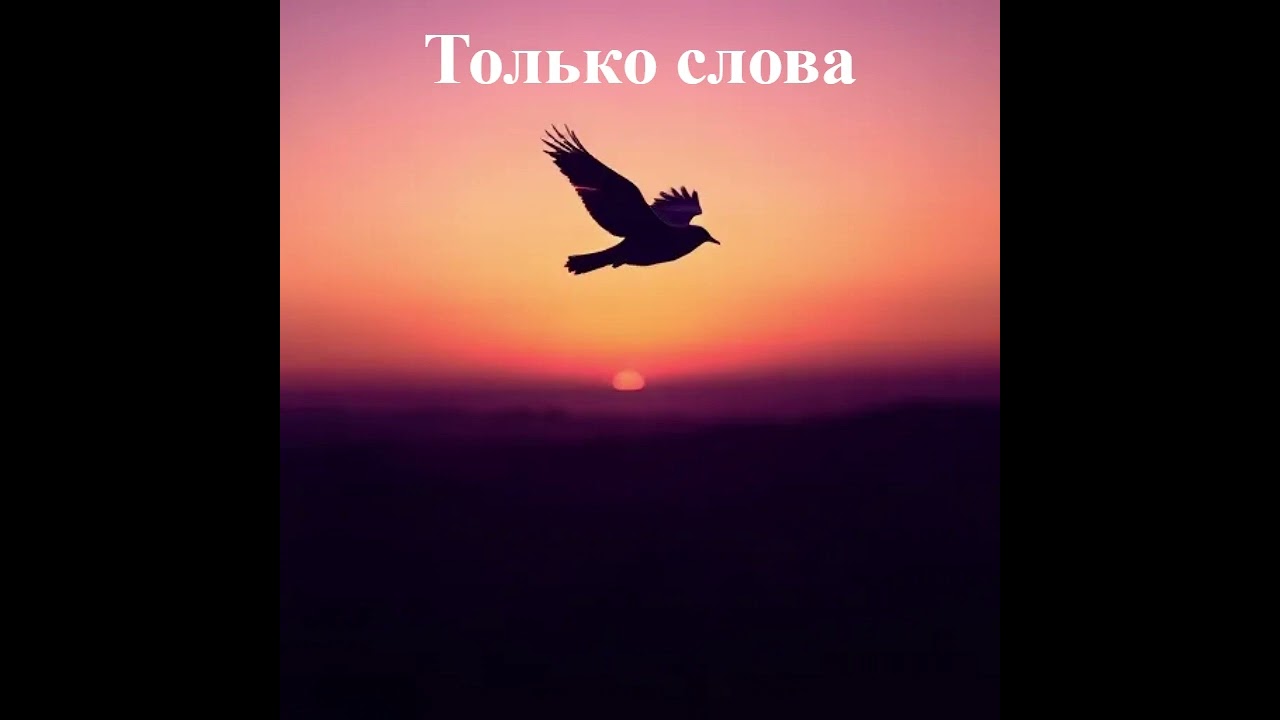 Только слова lovemusic музыка авторские песнихиты лучшие песни 2025