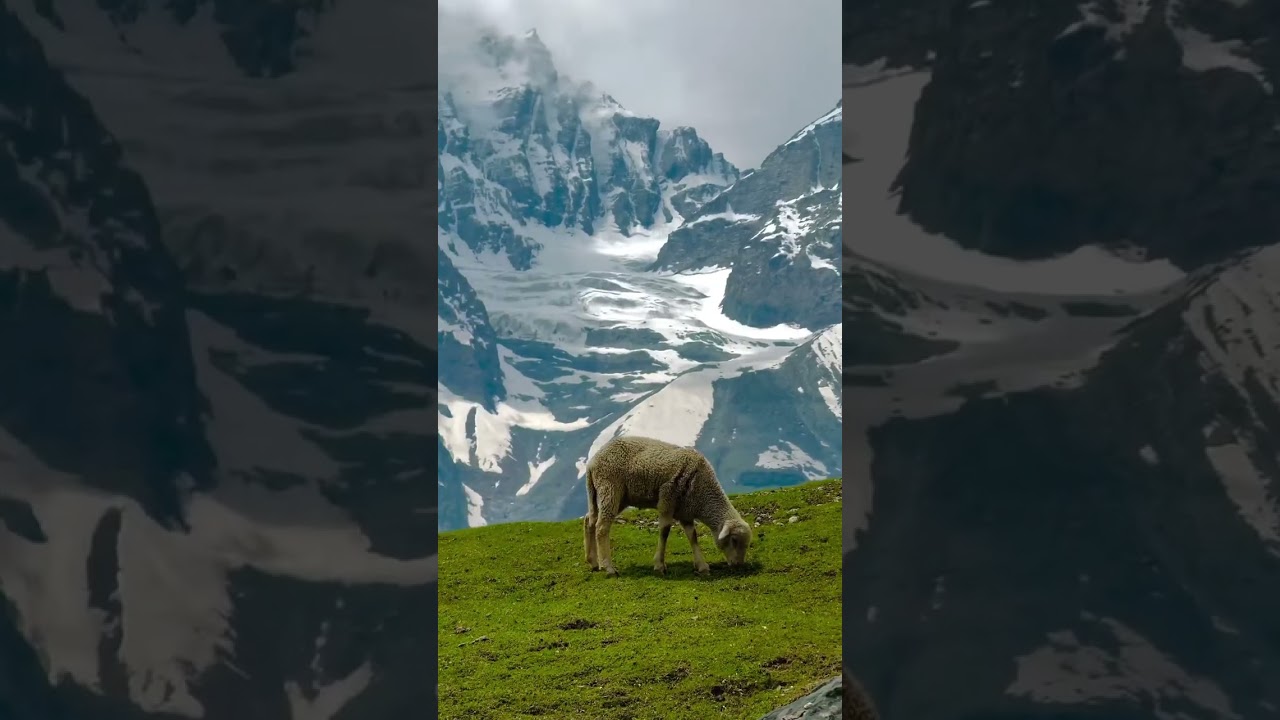 Sonamarg Kashmir 🏔️❤️ #mountains #travel #nature #love #roufkashmir #jannatkashmir #kashmirexpress