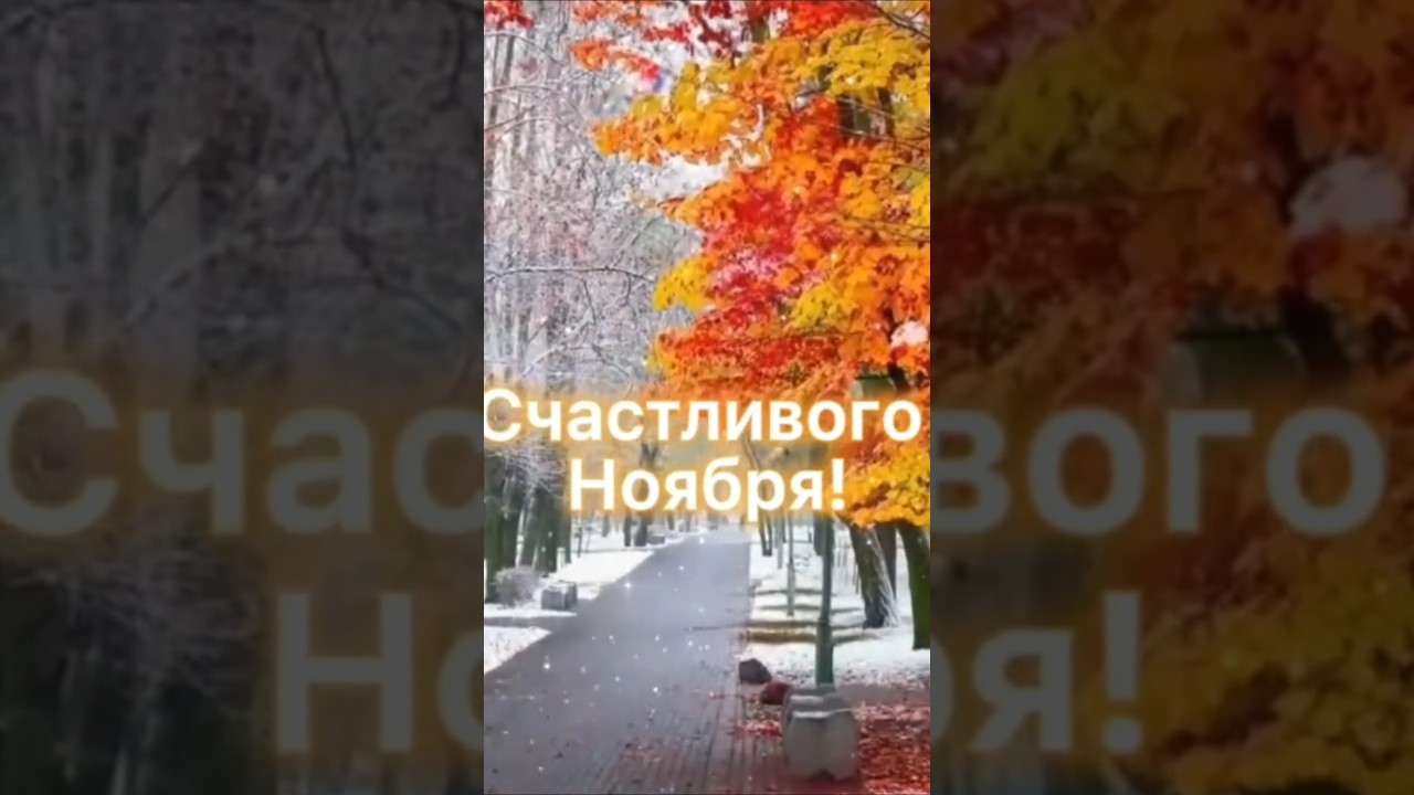 Скоро ноябрь музыка video любовь музыкаонлайн музика love music lovestatus дуэт мотивация