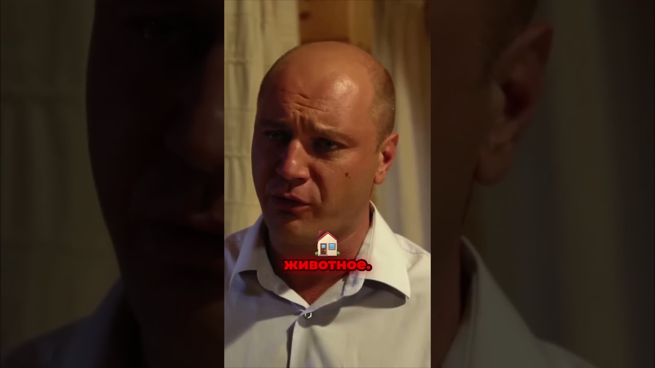 Семейные разборки  от собаки до почётного донора  сериал кращісеріали юмор