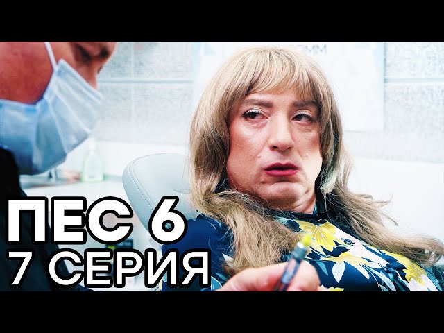 Сериал ПЕС 6 - 6 сезон - 7 серия - ВСЕ СЕРИИ смотреть онлайн | СЕРИАЛЫ ICTV