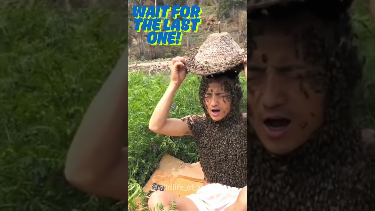 Nature’s Beautiful Animal Evolution! Before & After #animaljourney #amazingtransformation #animals