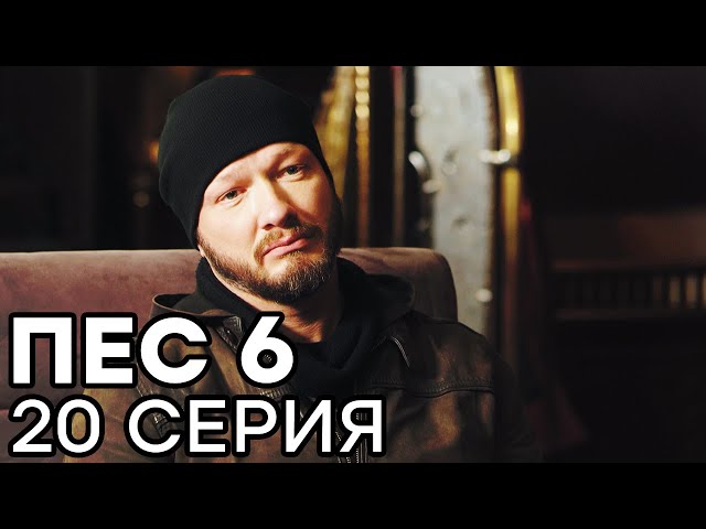 Сериал ПЕС 6 - 6 сезон - 20 серия - ВСЕ СЕРИИ смотреть онлайн | СЕРИАЛЫ ICTV