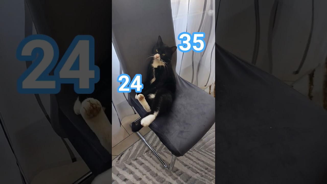 игры roblox видео роблокс рекомендации сваты6 дуэт couple funny butifyoucloseyoureyes