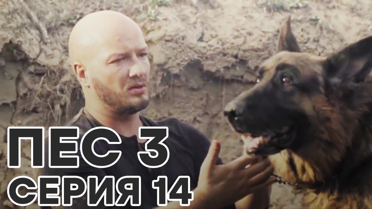 Сериал ПЕС - 3 сезон - 14 серия - ВСЕ СЕРИИ смотреть онлайн | СЕРИАЛЫ ICTV