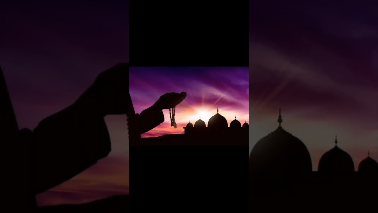 Знаменитые мусульмане исламскаямудрость ислам знание знаменитости islam islamknowledge shorts