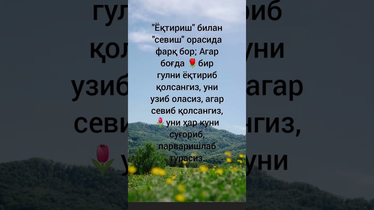 Между увлечением и любовью есть разница. layk rekkkkkk love yutubeshorts shortsvideo