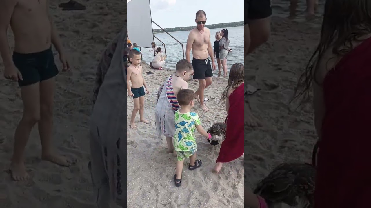 если видишь людей funk kvn мультфильм песни сказка music дуся фильмы кот   Golden river