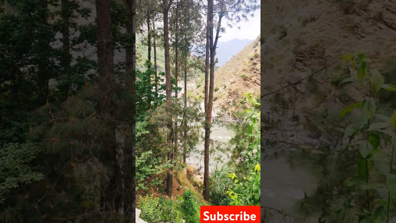 Dil Diwane ka #trending #shortsfeed #shorts #nature #mountains #manali 🌲🌲