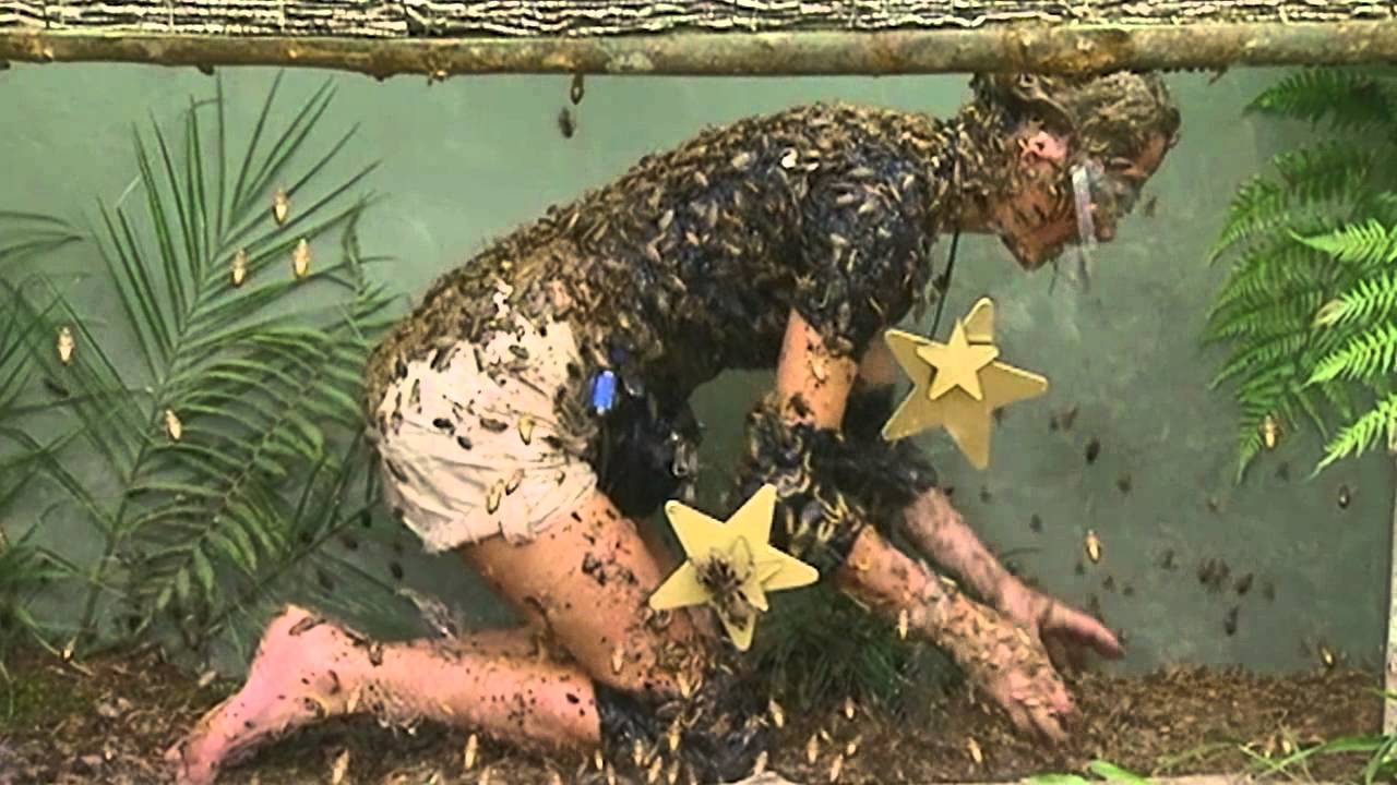 Alex Best Gets Feathered Searching For Stars | I&#39;m A Celebrity... Get Me Out Of Here!