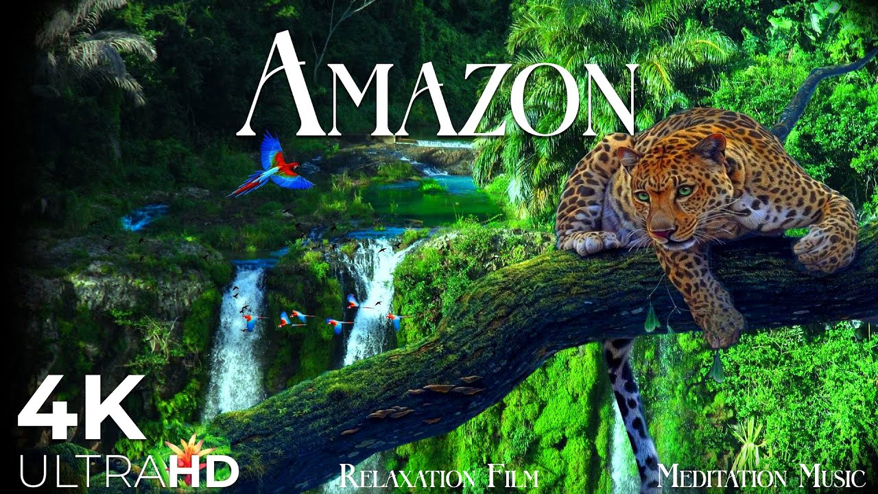 AMAZON Rainforest 4K - The World’s Last Eden | Nature &amp; Wildlife Relaxation Film Ultra HD