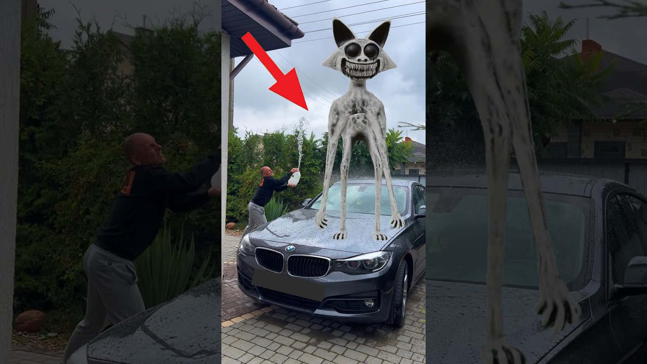 АНОМАЛЬНЫЙ КОТ поломал мою МАШИНУ - 2 серия Zoonomaly ysshorts funny zoonomaly