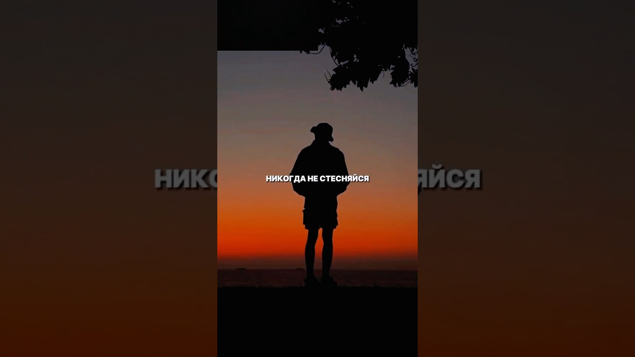 Никогда не стесняйся этих 4 вещей шортс друзья саморазвитие жизнь заработок бизнес психология