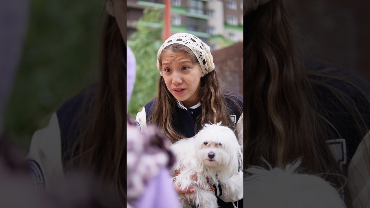 Сериал Про собаку. 2 сезон. 3 серия. vikazang vikазанг чжанвика