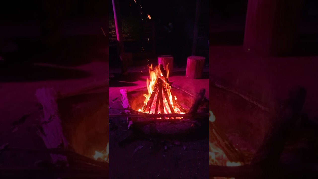 Day 1..Vattavada Sahari Mariental jungle Resort🌳🥶 trending shortfeed shorts fyp trendingshorts