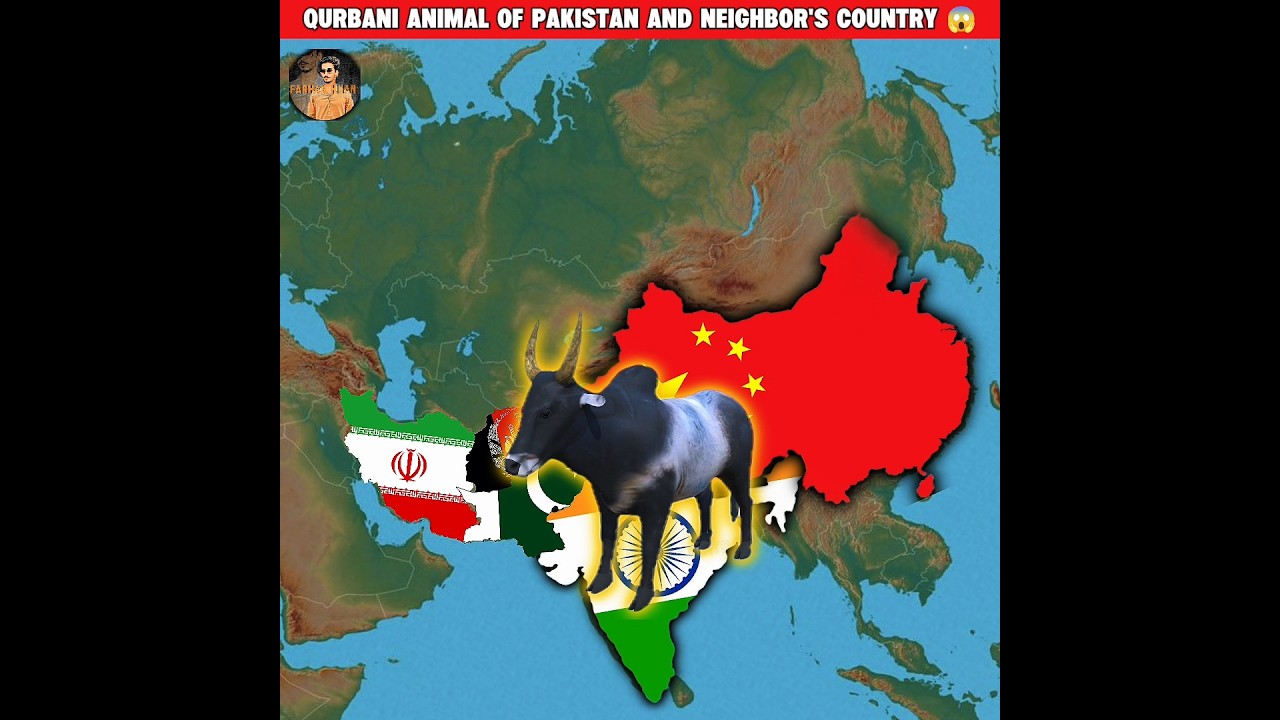 Qurbani Animal Of Pakistan and neighbor's country 😱factsshortsqurbani