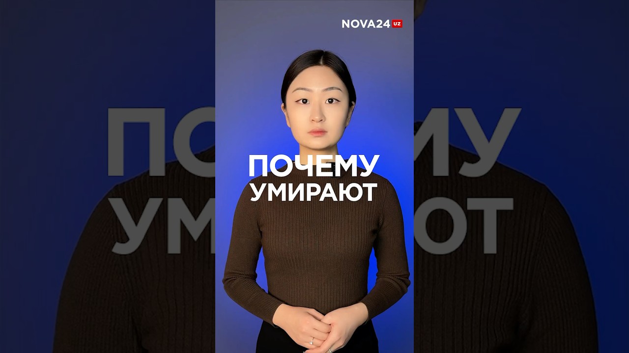 В Узбекистане назвали самую частую причину смерти за 2023 год новости узбекистан ташкент