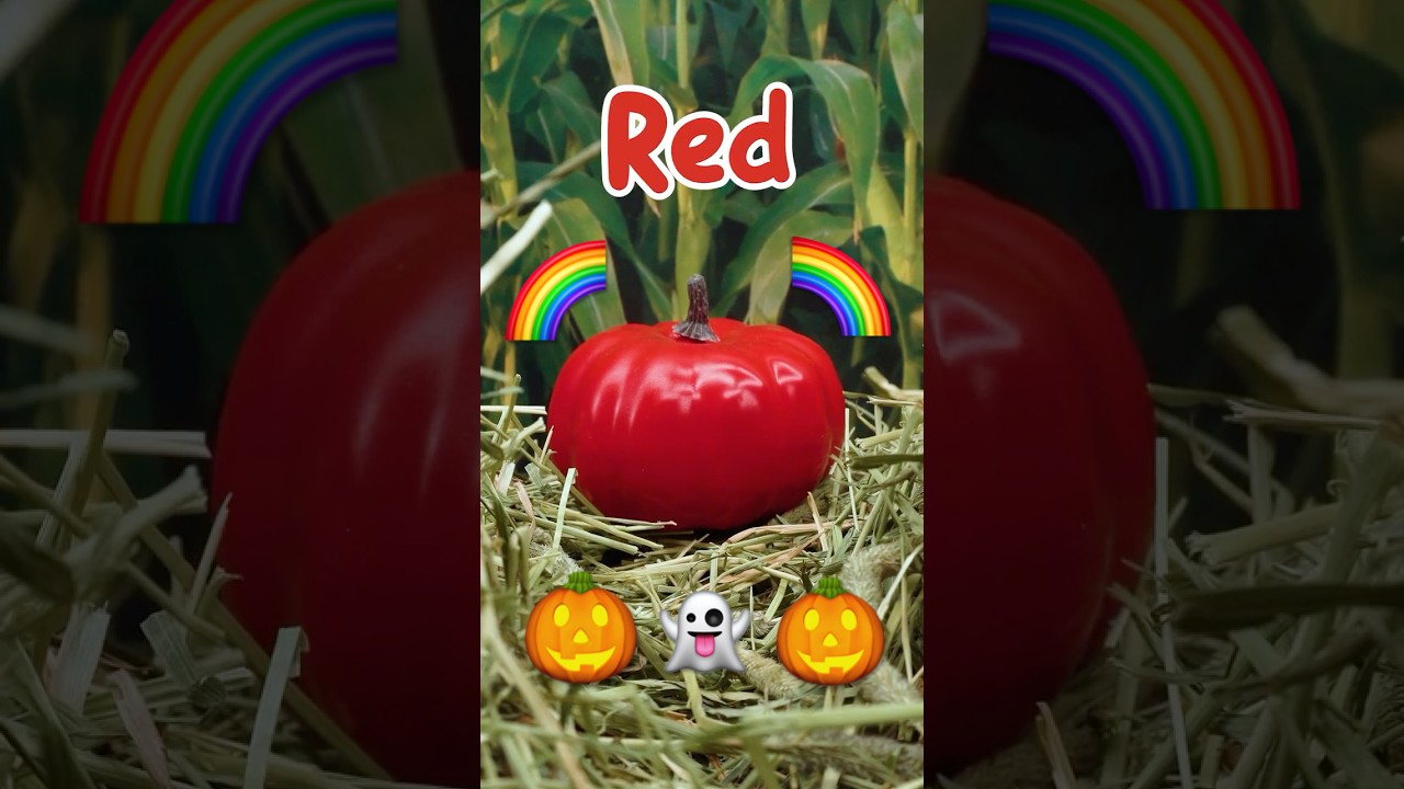 Let's Make Rainbow Pumpkins! 🌈🎃 Kids Halloween