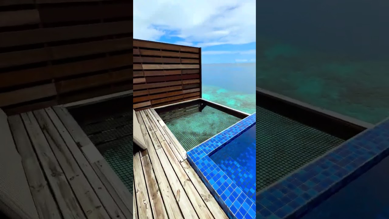 Swimming under your WATER VILLA, ONLY in maldives   cc: terplanet