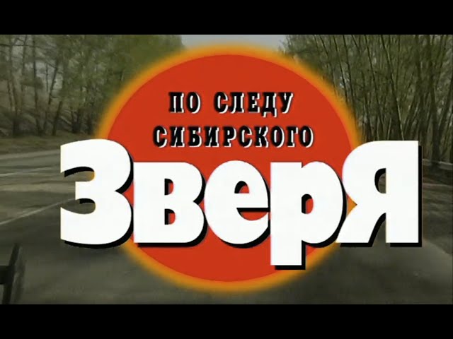 По следу сибирского зверя. Часть 2