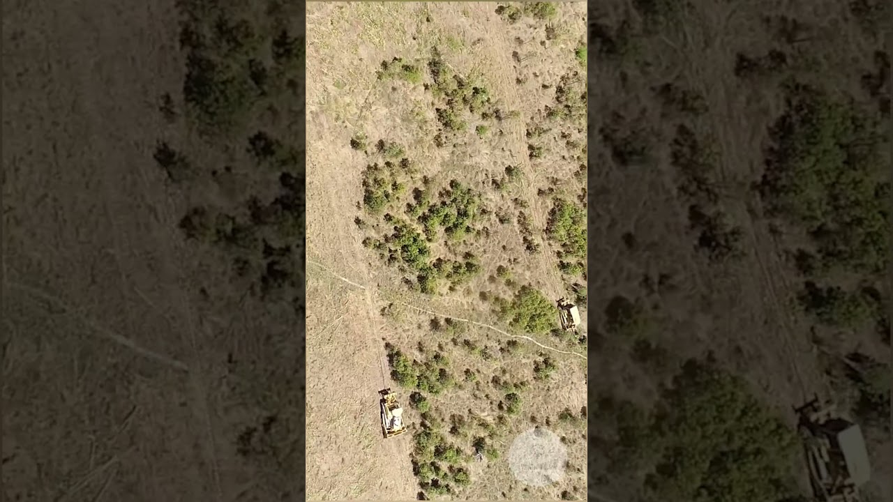 Save Telangana Forest !? #facts #emergency #dangerous #deforestation #tree #amazing #tools