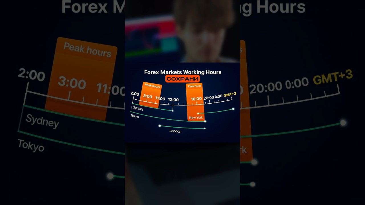 ЧАСОВЫЕ ПОЯСА для ПРИБЫЛЬНОГО ТРЕЙДИНГА инвестиции заработок trading крипта бизнес биржа