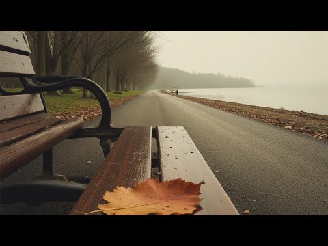 Ноябрь. Автор комиссар Катар /v. 5