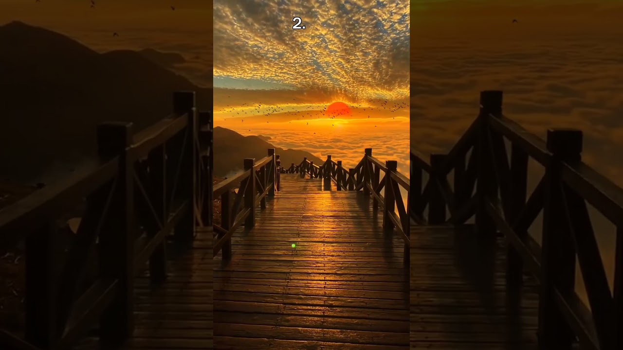 Where are you relaxing the hardest? #aesthetic #nature #aurora #vibes