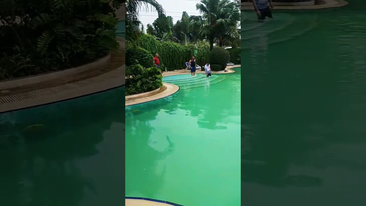 Say one word about this song.resort shorts